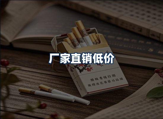 专业团队办公环境